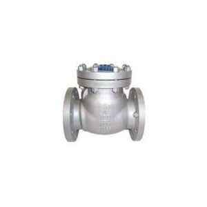 Industrial Check Valve